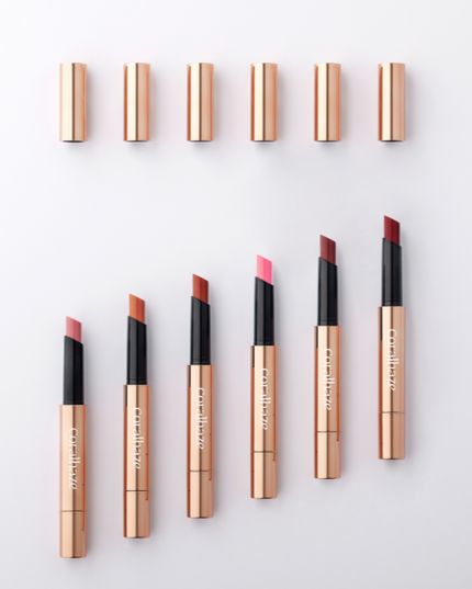 Volumizing Lip Fondue #06 Essential